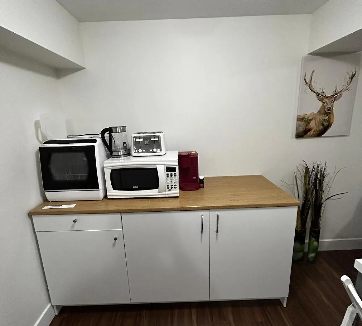 Entire 1 Bedroom Basement Suite With Kitchenette And Laundry Έντμοντον Διαμέρισμα